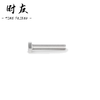时友 TIME FRIEND 不锈钢螺栓 10*40 个