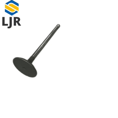 利冀尔 进排气阀 LJE - GX系列通用 个