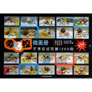 醉染图书考场控.微画册9787531842033