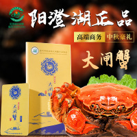 [礼券]蟹灵阁阳澄湖大闸蟹礼券螃蟹券 海鲜水产 7288型 公6.0两 母5.0两 4对8只装