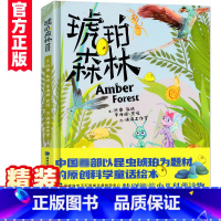 [正版]琥珀森林 精装硬皮陈睿6-12岁儿童科普百科小学生课外阅读书籍精美插图以昆虫琥珀为题原创科学童话绘本少儿科普读物