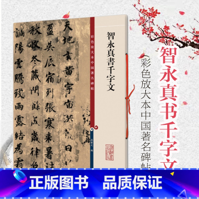 [正版] 智永真书千字文 彩色放大本中国著名碑帖 第一辑 繁体旁注 楷书毛笔字帖碑帖 孙宝文 图书籍 上海辞书出
