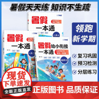 2025新版暑假一本通幼小衔接一升二升三年级语文数学英语暑假作业幼升小学一年级预备一年级拼音识字语言衔接每日一练