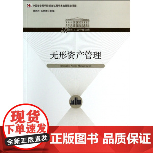 无形资产管理/21世纪工商管理文库