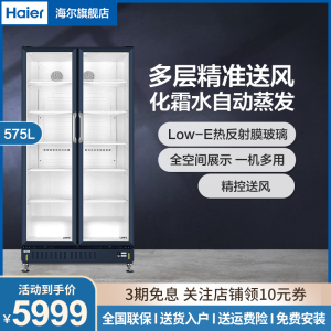 海尔(Haier)双开门商用展示柜SC-650立式透明门冷藏柜饮料冷藏柜酒水冷藏柜保鲜柜风冷商用展示柜企业家商用冷柜