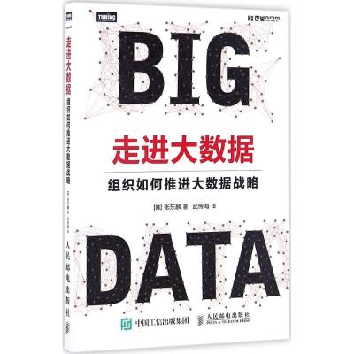 正版新书]走进大数据:组织如何推进大数据战略韩9787115438058
