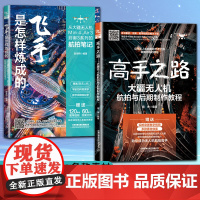 全2册 飞手是怎样炼成的+高手之路:大疆无人机航拍与后期制作教程 从大疆无人机Mini 4、Air 3到御3系列的航拍笔