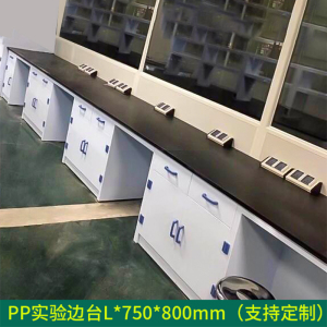 东升顺全钢实验台钢木PP边台柜试验台化验室工作台实验室桌操作台定制(每米单价)