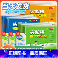 1 本:数学[苏教版] 一年级上 [正版]2024版实验班提优大考卷一二三四五六年级上册下册语文数学英语培优测试卷全套人