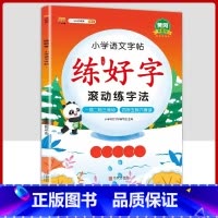 [ 语文]练字帖1本 一年级下 [正版]衡水体英语字帖练字一年级二年级三四五六上册下册小学生笔画笔顺练字帖每日一练临摹同