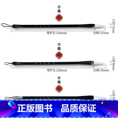 羊毫毛笔三支装(赠墨汁) [正版]书画入门毛笔控笔训练册 毛笔书画临摹本 软笔控笔入门教程 书法国画运笔技巧 毛笔描红本