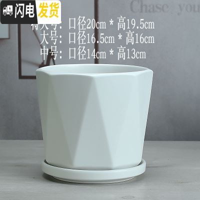 三维工匠陶瓷花盆北欧简约个性高白色大号室外客厅带托盘绿萝 北欧(亚光白2056) 中等花盆容器