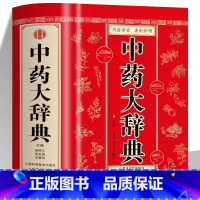 [正版] 中药大辞典 精装版全套 原版 中药学书籍词典 辞典中药书中药材中药字典中医药大词典药学医学工具书药膳大辞典剂