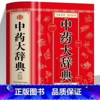 [正版] 中药大辞典 精装版全套 原版 中药学书籍词典 辞典中药书中药材中药字典中医药大词典药学医学工具书药膳大辞典剂
