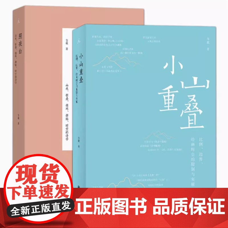 正版 照夜白:山水折叠循环拼贴时空的诗学/小山重叠:比例边界绘画时空的限制与突破 韦羲著 山水画 中式美学 山水艺术 理