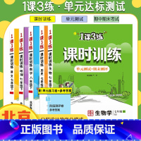 道德与法治[北京专版] 九年级/初中三年级 [正版]任选北京版一课三练课时训练语文数学英语地理政治生物七八九年级上下册初