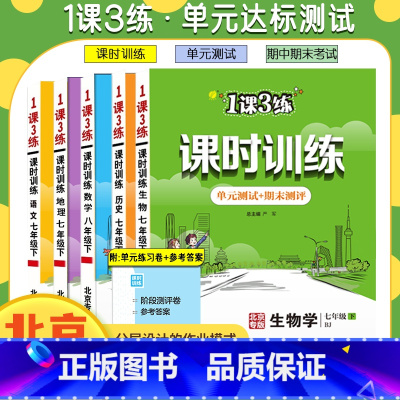 道德与法治[北京专版] 九年级/初中三年级 [正版]任选北京版一课三练课时训练语文数学英语地理政治生物七八九年级上下册初