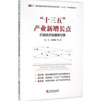 正版新书]"十三五"产业新增长点:打造经济发展新引擎姜江978750