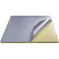 安盛宏方 ASHF655 200mm*100mm 银色 标签胶贴 1.00 卷/张 (计价单位:张) 银色