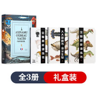 [正版图书]纸贵满堂全脑智能训练书全3册0-1-2-3-4-5-6岁婴幼儿童早教启蒙认知图书左右脑智力开发益智思维训练动