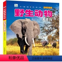 [选3件39元]野生动物 [正版]自然百科全书注音版幼儿探索自然奥秘大百科儿童科普绘本小百科读物全套科学认知幼儿少儿儿童