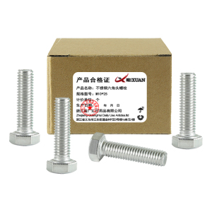 昡 不锈钢六角头螺栓 M10*25 个