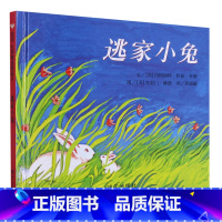 逃家小兔(精) [正版]书店 书籍逃家小兔(精)