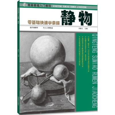 正版新书]青藤素描入门教程(静物)青藤人9787540133603
