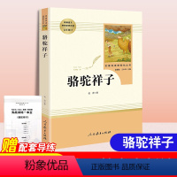 骆驼祥子-人民教育出版社 [正版]骆驼祥子原著老舍人民教育出版社完整版初中生青少年七年级下册必读课外书籍语文学习配套阅读