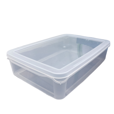 带盖塑料收纳盒 TS-0414-2 个