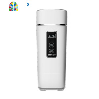 烧水壶便携式旅行电热水壶泡奶全自动迷你保温杯 FENGHOU 雅咖黑