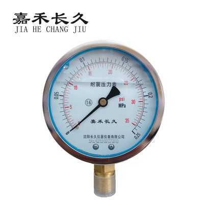 嘉禾长久 耐震压力表检测型 YTN100 块