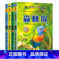 [全4册]森林报 [正版]森林报 春夏秋冬(全4册彩图注音版)小学生课外阅读系列丛书集