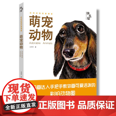 快乐绘 萌宠动物