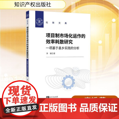 项目制市场化运作的效率耗散研究 一项基于县乡实践的分析 李韬 著 金融投资经管、励志 正版图书籍 知识产权出版社