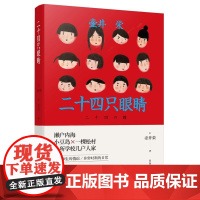 二十四只眼睛