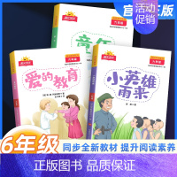 [快乐读书吧]全套3册 六年级上 [正版]阳光同学快乐读书吧六年级上册全套3册童年小英雄雨来爱的教育小学生6年级上册语文