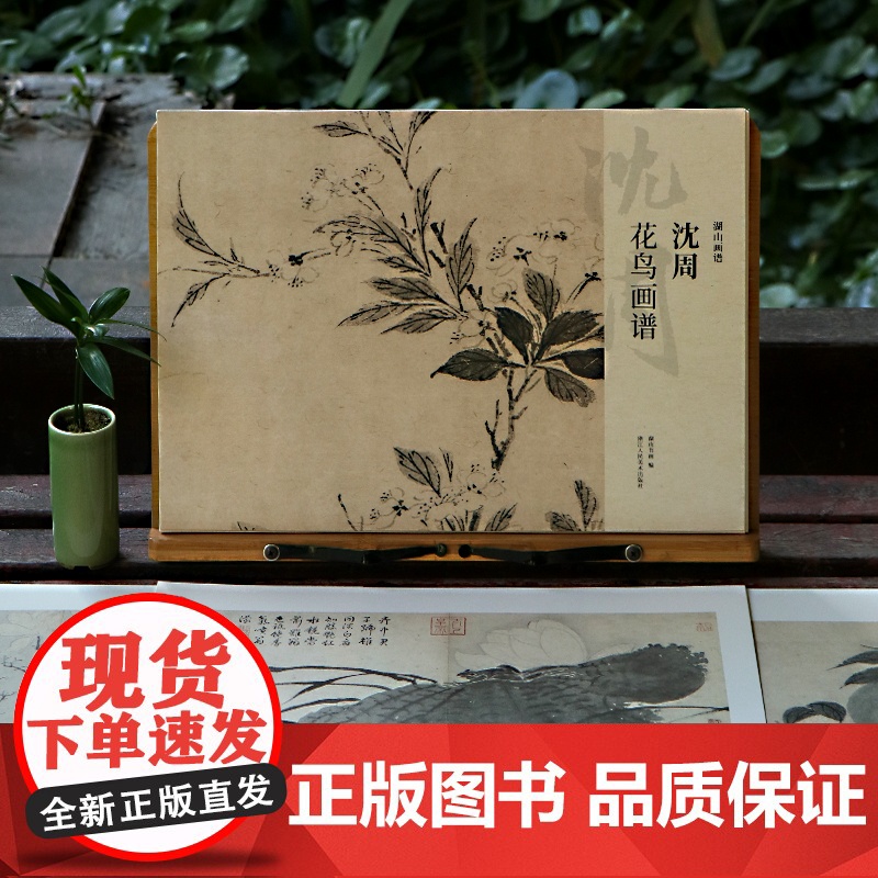沈周花鸟画谱 大8开单片高清印刷可临摹可装饰 历代名家册页鉴赏临摹画册初学者入门绘画中国画花鸟画技法教程作品集画集 湖山