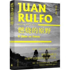 [N]燃烧的原野(精)/鲁尔福三部曲-9787544784252