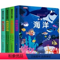 藏起来的小秘密 全四册 [正版]全套4册 儿童立体书3d翻翻书 幼儿情景体验绘本 宝宝益智撕不烂书籍0-1-2-3-6岁