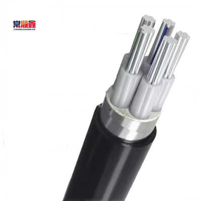 常顺鑫 低压铝芯电缆ZC-YJLV22 4×25+1×16 米