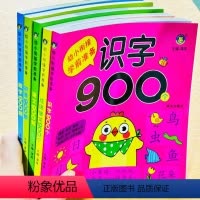 全套5本 [正版]识字900个幼小衔接学前准备 3-4-5-6岁幼儿启蒙认知识字书籍学前班幼儿园小中大班升小学一年级练习