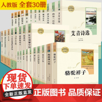 全30册人教版初中课外阅读书籍 朝花夕拾海底两万里骆驼祥子红星照耀中国钢铁是怎样炼成的儒林外史简爱原著七7八8九9年级中