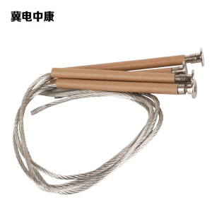 冀电中康 熔丝 10-3A 根