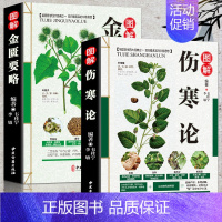 [正版]图解伤寒论金匮要略全2册白话解问诊中医药书籍大全本张仲景名著文白对照通俗易懂古籍出版社抖音同款书入门基础理论知识