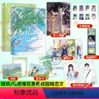 [正版] 我只偷看他一眼+见春天 枝玖 青春校园暗恋文be言情小说 蝉联的风云少年X 默默暗恋的普通少女