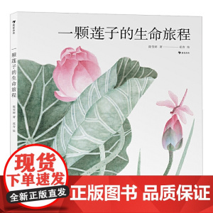 正版童书一颗莲子的生命旅程2022文津图书奖国画绘出莲的生命轮回细品中国莲文化5-6-7-8岁
