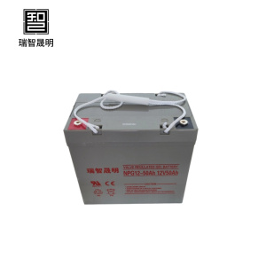 瑞智晟明(RZSM)锂电池NPG12-100Ah