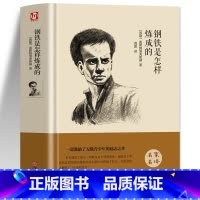 [正版] 钢铁是怎样炼成的 初中原著 全译本精装 世界名著经典文学小说书籍 奥斯特洛夫斯基著八年级课外阅读书籍读物外国