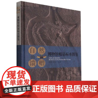 自然的馈赠:博物馆精品标本图鉴 江雪,王丹 经管、励志 社科其他 社会科学其它 正版图书籍辽宁师范大学出版社